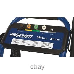 Powerhorse Gas Cold Water Pressure Washer, 3800 PSI, 3.6 GPM
