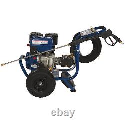 Powerhorse Gas Cold Water Pressure Washer, 4400 PSI, 4.2 GPM
